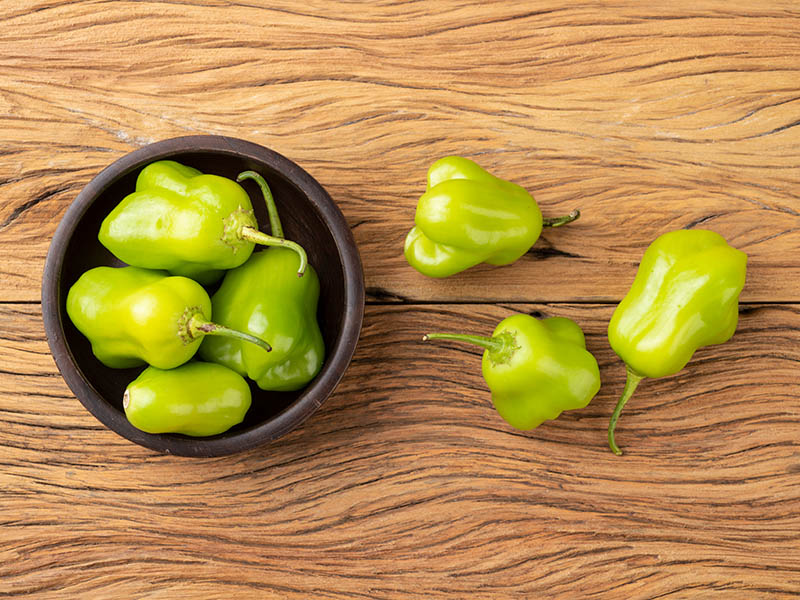 Green Cambuci Pepper