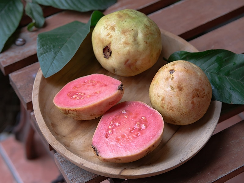 Guava Malay