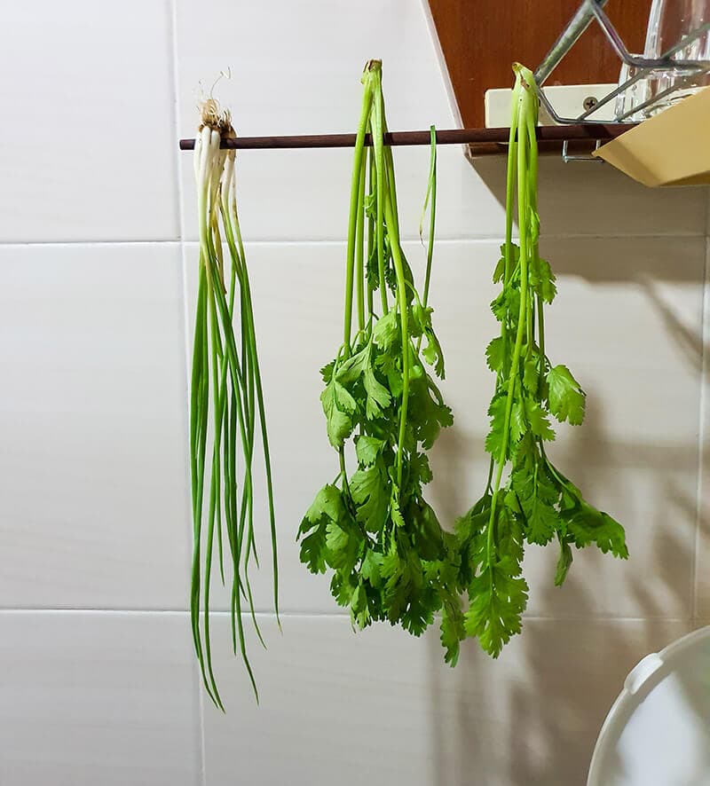 Hang Bunches Cilantro 