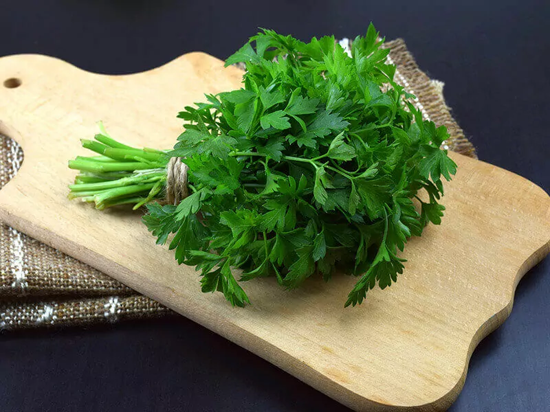 How To Store Fresh Cilantro