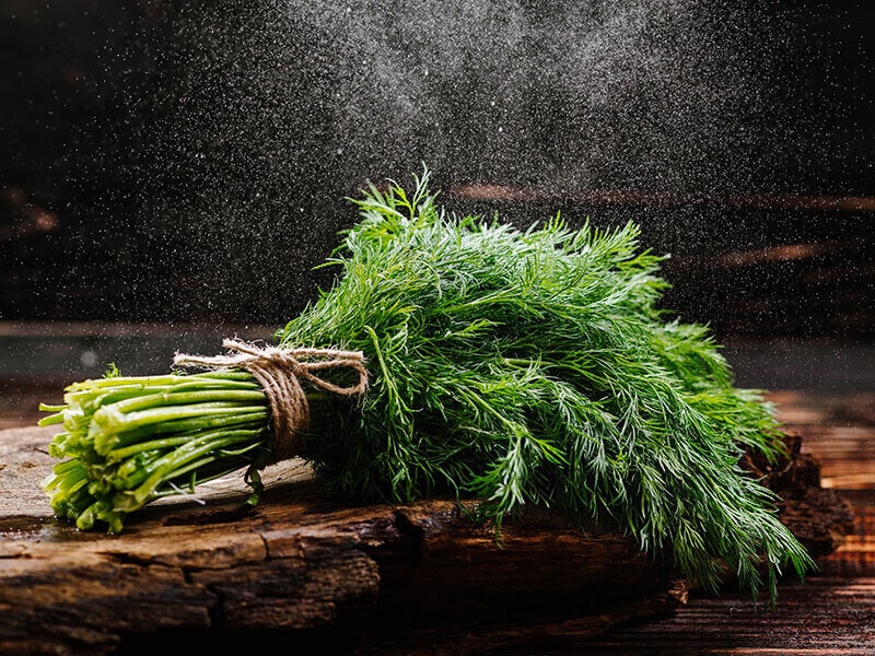 How To Store Fresh Dill At Home