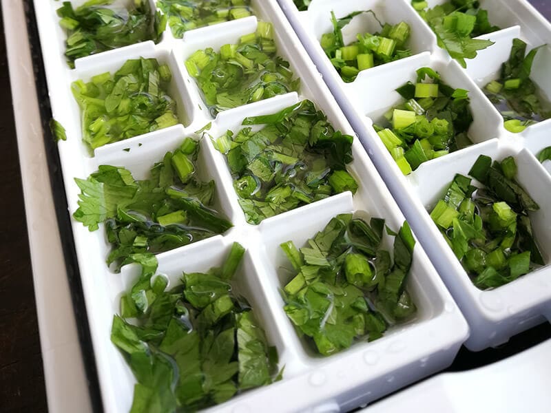 Ice Tray Cilantro 