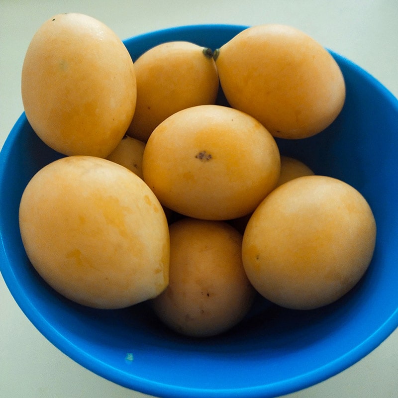 Kundang Fruit