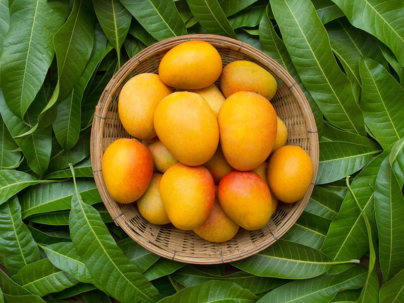 Mango Mangue