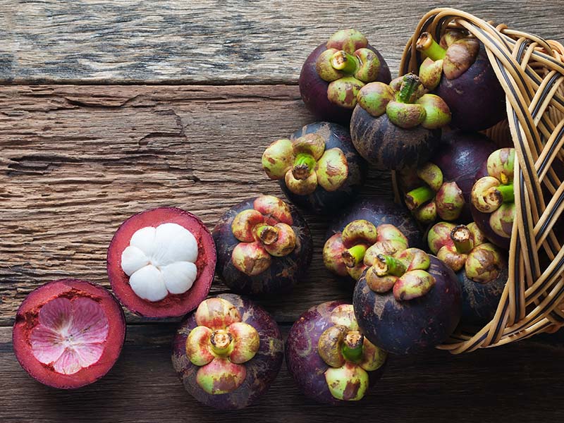 Mangosteen Indian