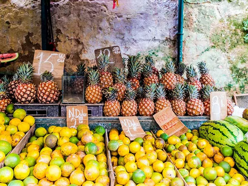 Many Type Fruit Cuban