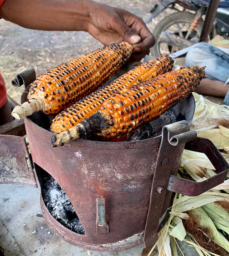 Masala Bhutta