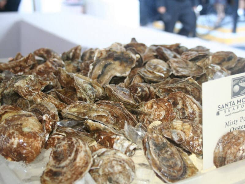 Misty Point Oysters