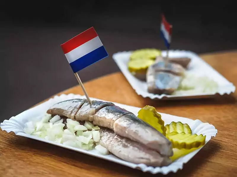 Netherland Saline Herring