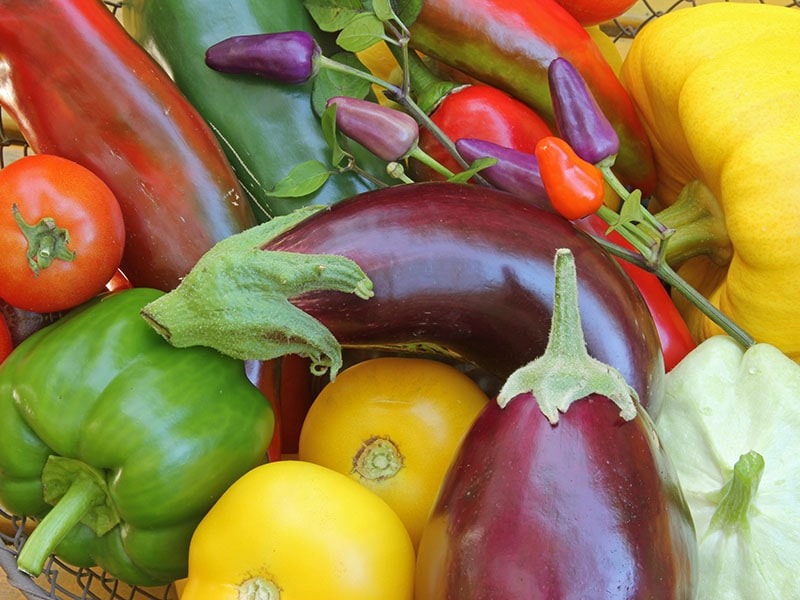 Nightshade Vegetables