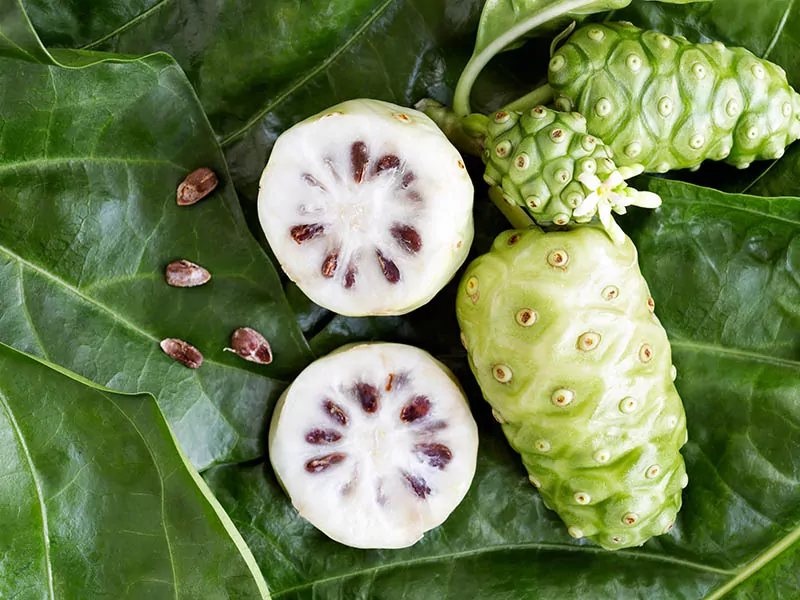 Noni Jamaican