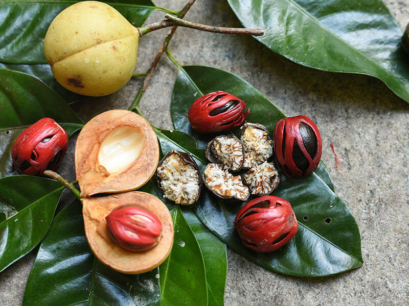 Nutmeg Seeds