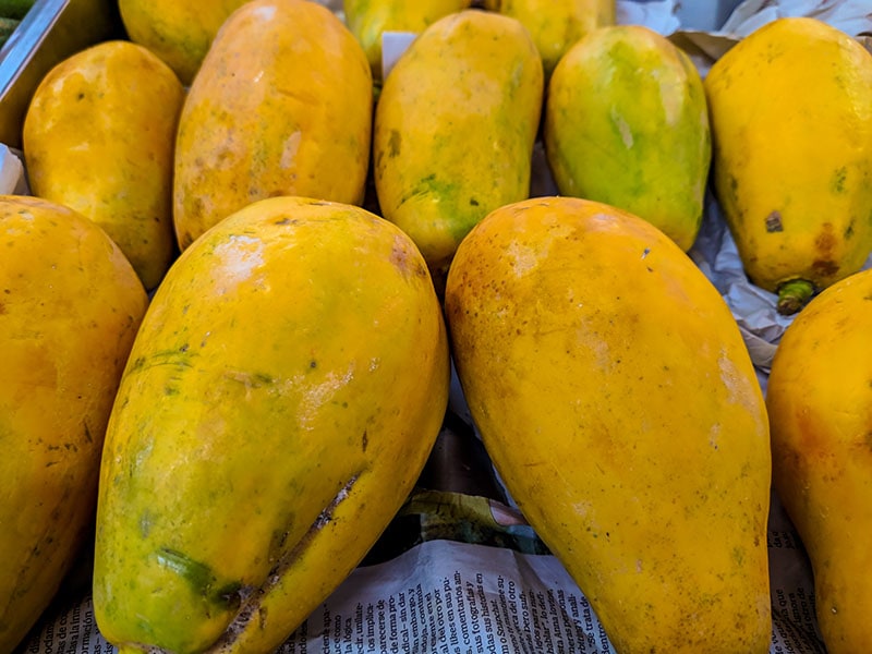 Papaya Cuba