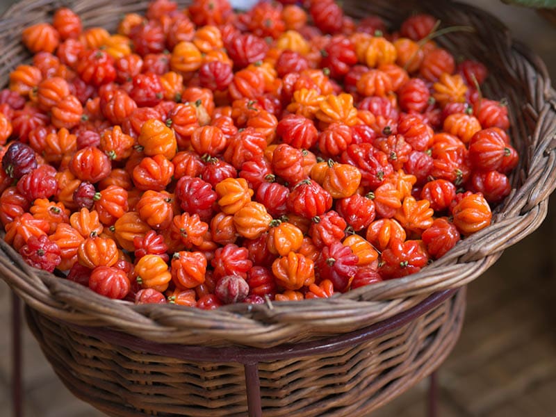 Pitanga Traditional Tropical Fruits