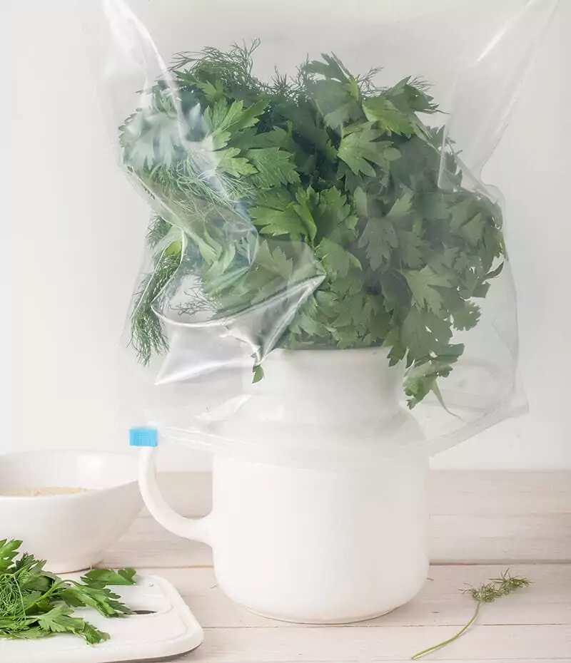 Plastic Bag Cilantro 