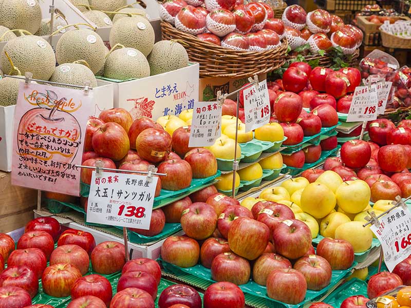 Popular Japan Fruits