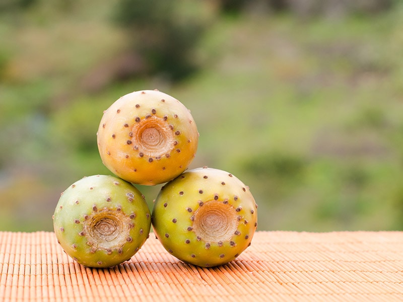 Prickly Pear Peru