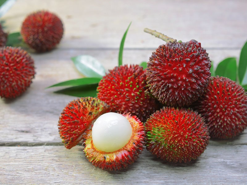 Pulasan Indian