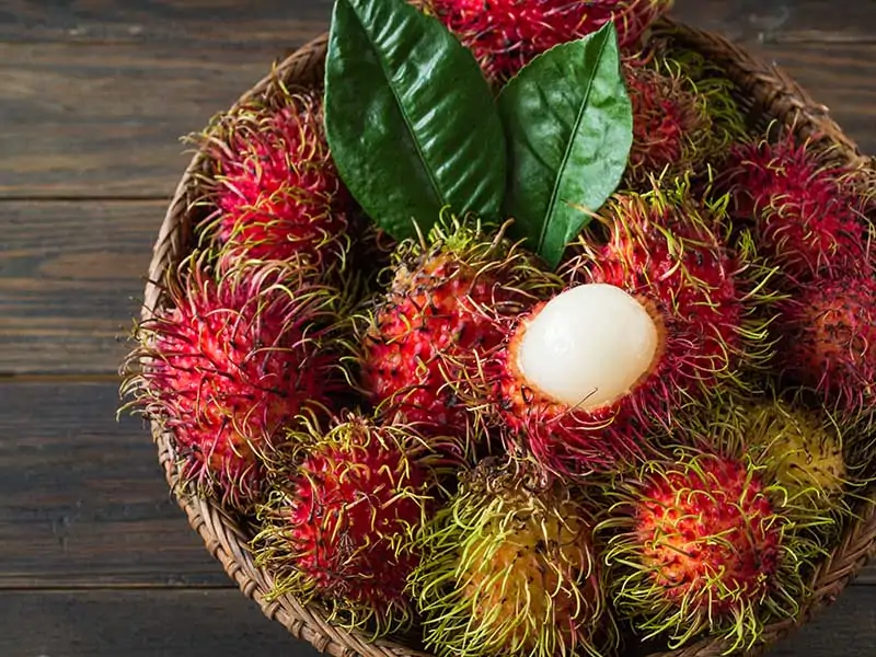 Rambutan Indian