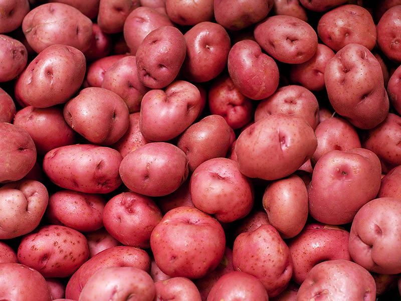 Red Potatoes