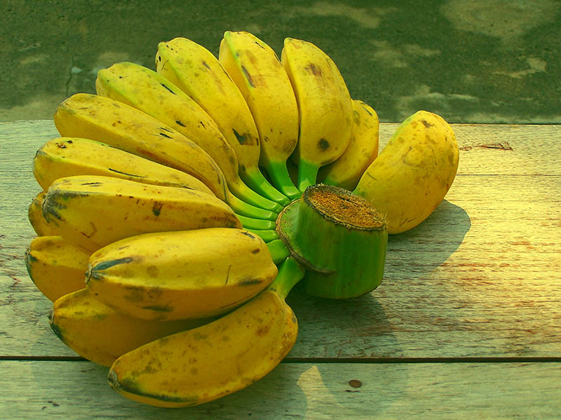 Saba Banana