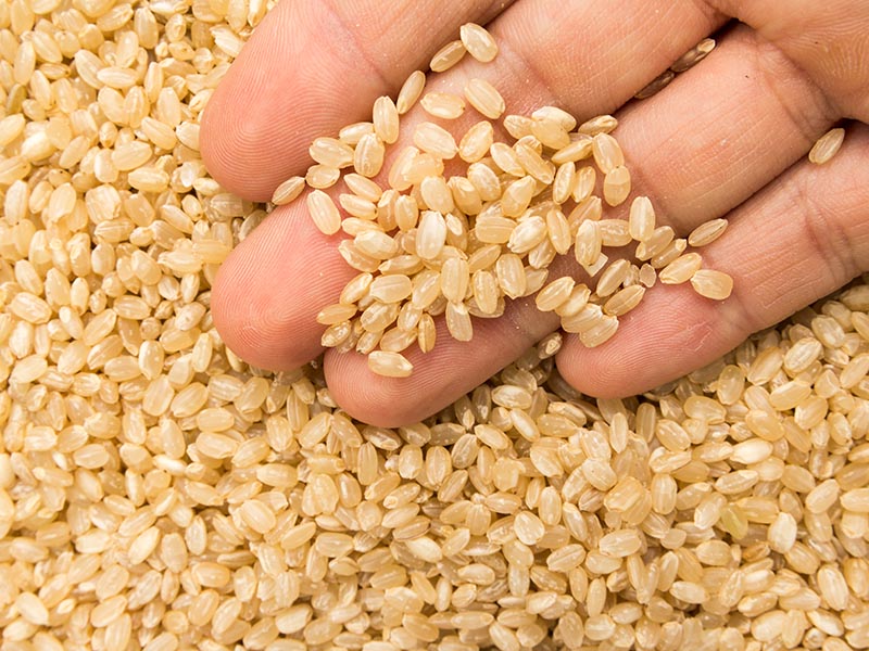 Short Grained Brown Rice