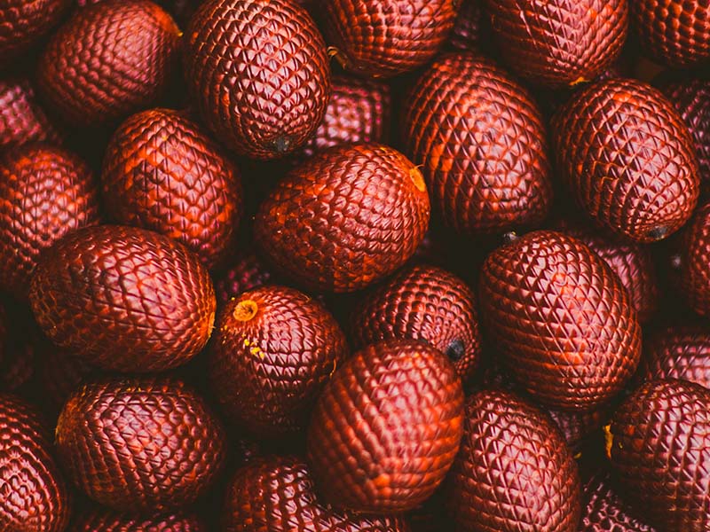 Snake Fruit Peru