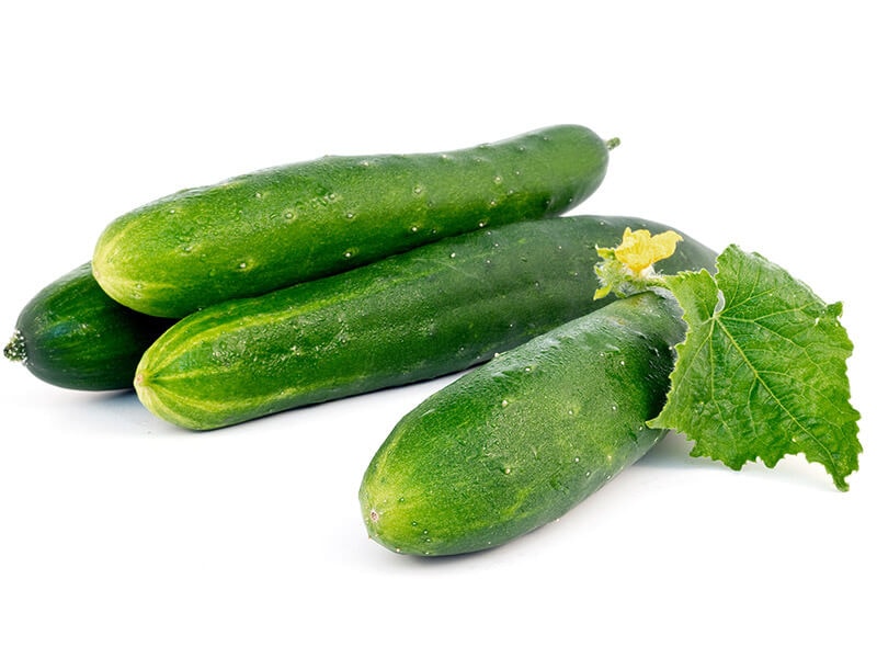 Tanja Cucumbers