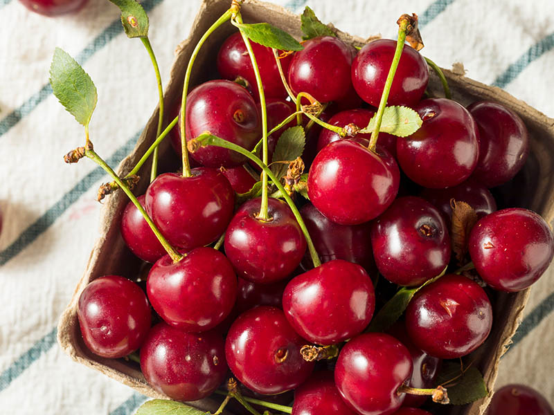 Tart Cherry