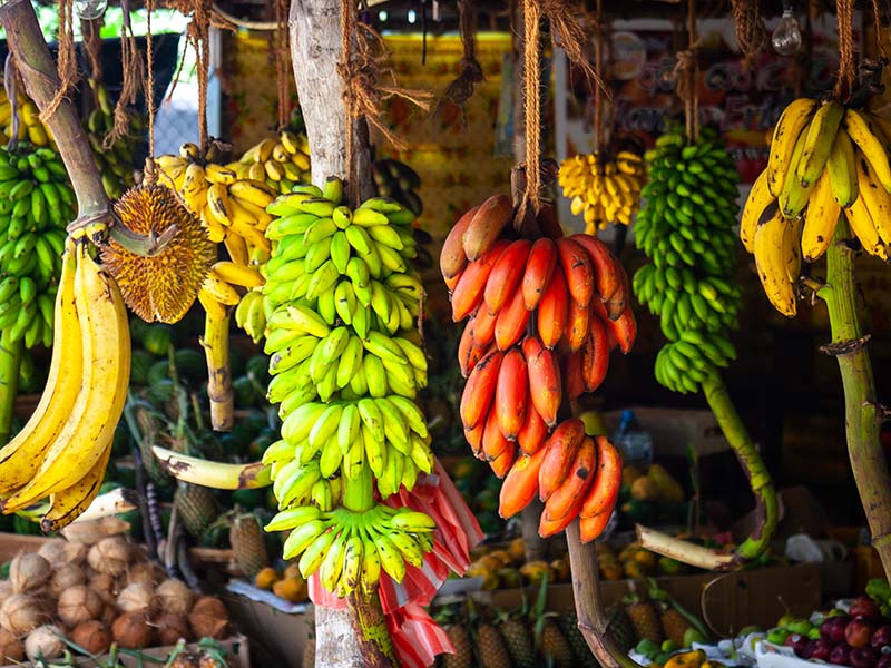 These Bananas