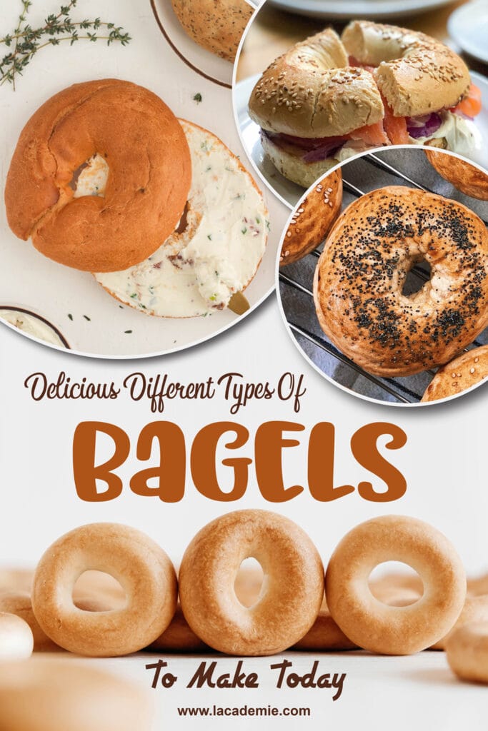 Types Of Bagels