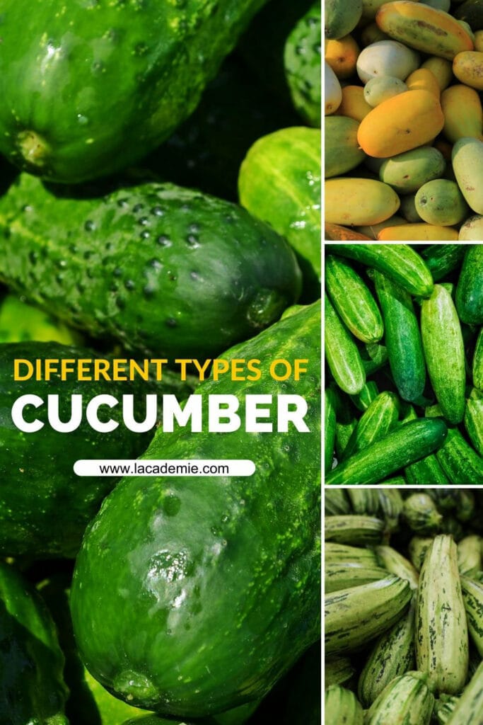 Types Of Cucumber