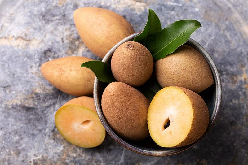 Zapota Sapodilla