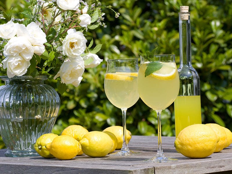 16 Best Limoncello Cocktails (+Limoncello Mojito)
