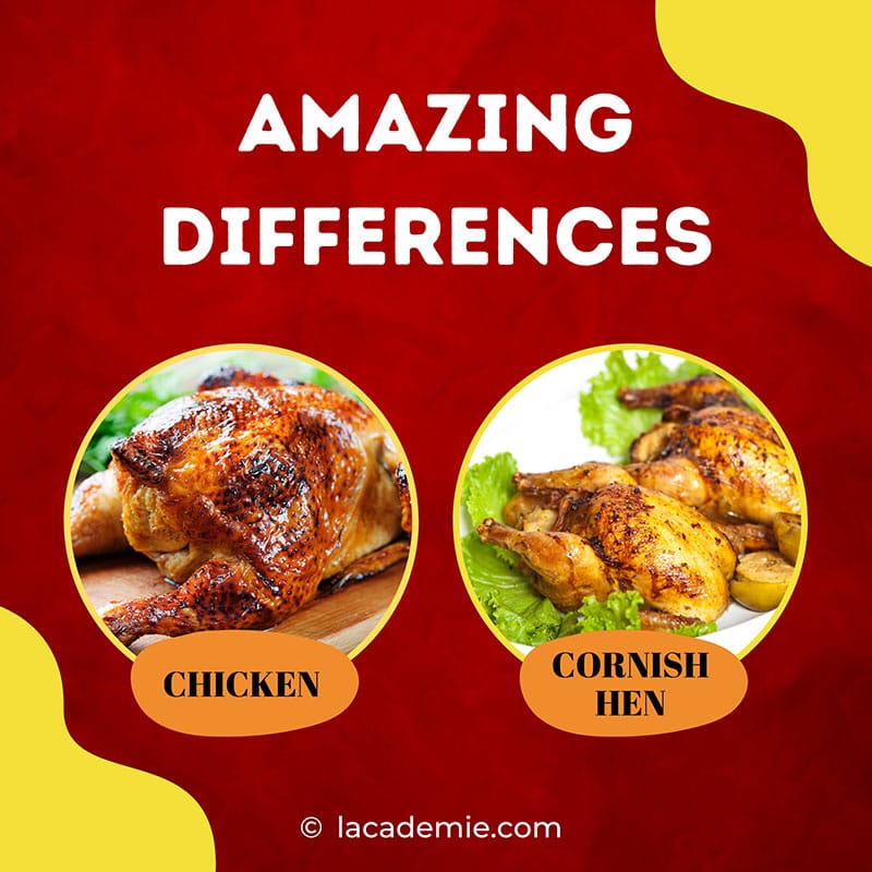 Cornish Hen And Chicken