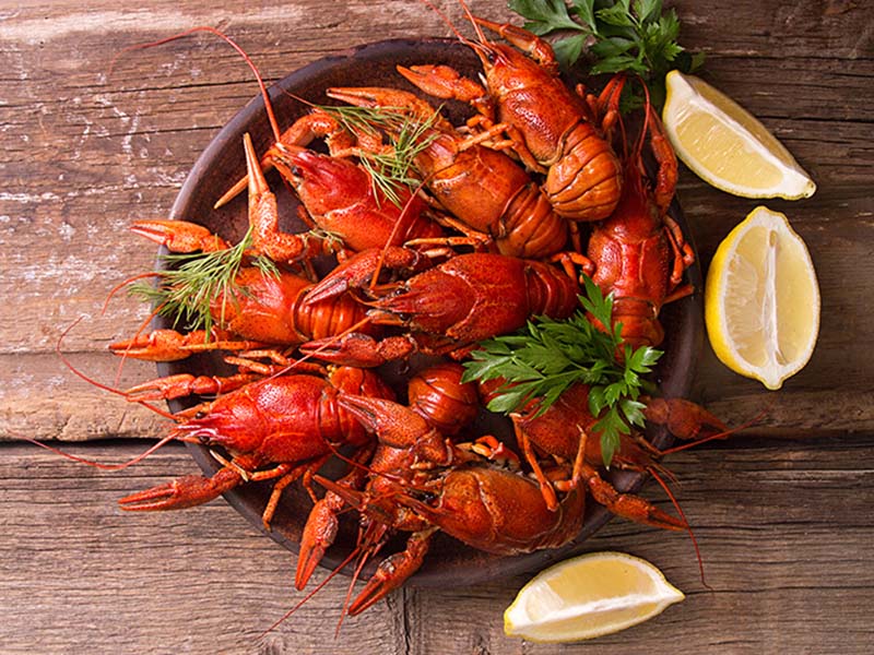 Crayfish Seafood