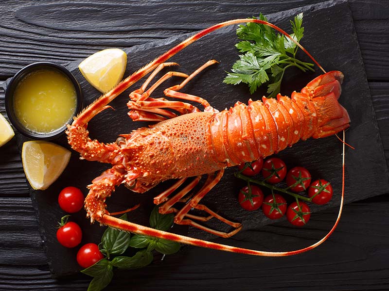 Lobster Seafood
