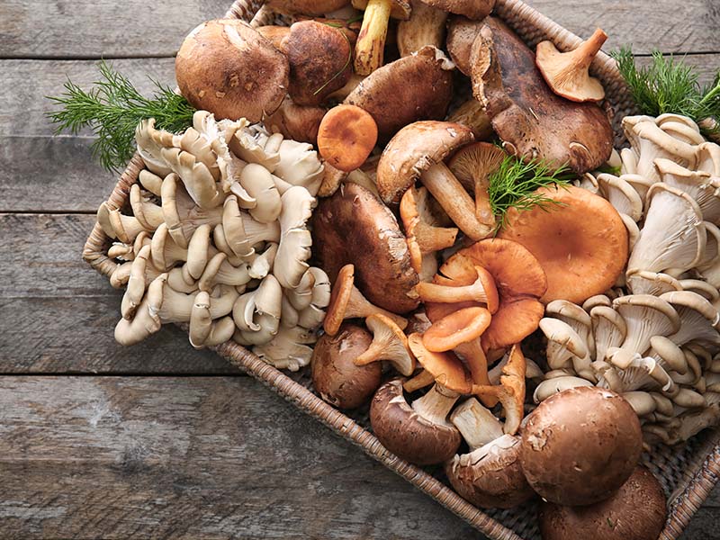 Mushroom French