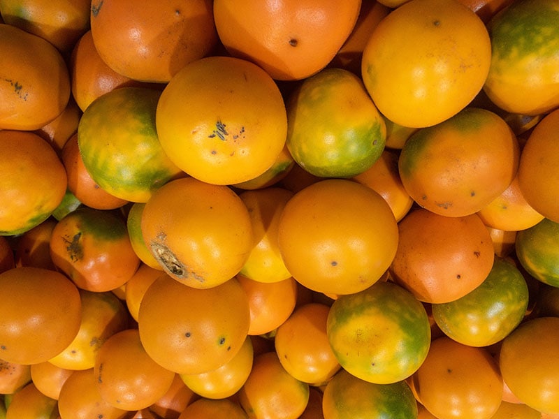 Naranjilla Fruit