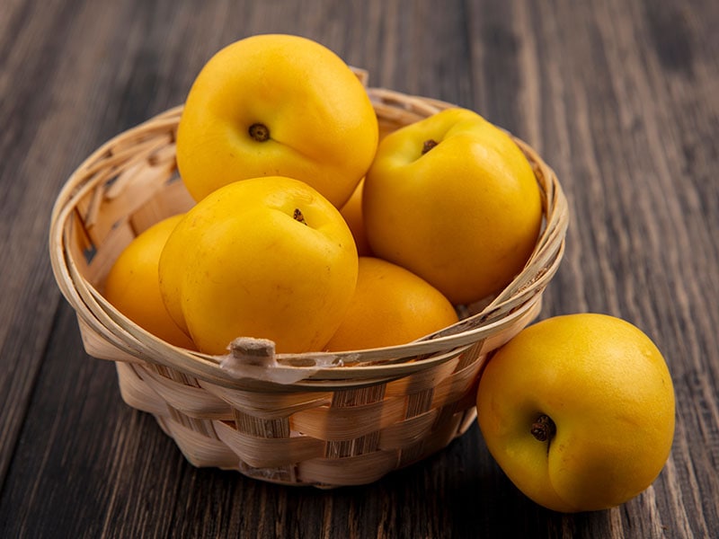 Nectacot Fruit