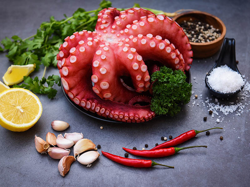 Octopus Seafood