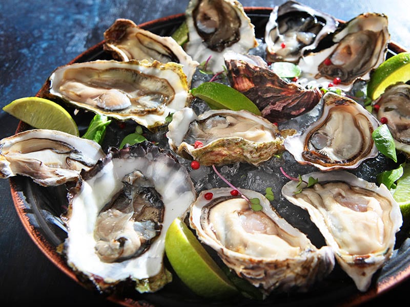 Oyster Seafood