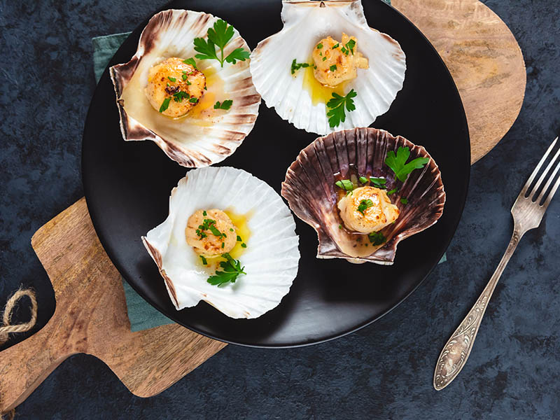 Scallop Seafood
