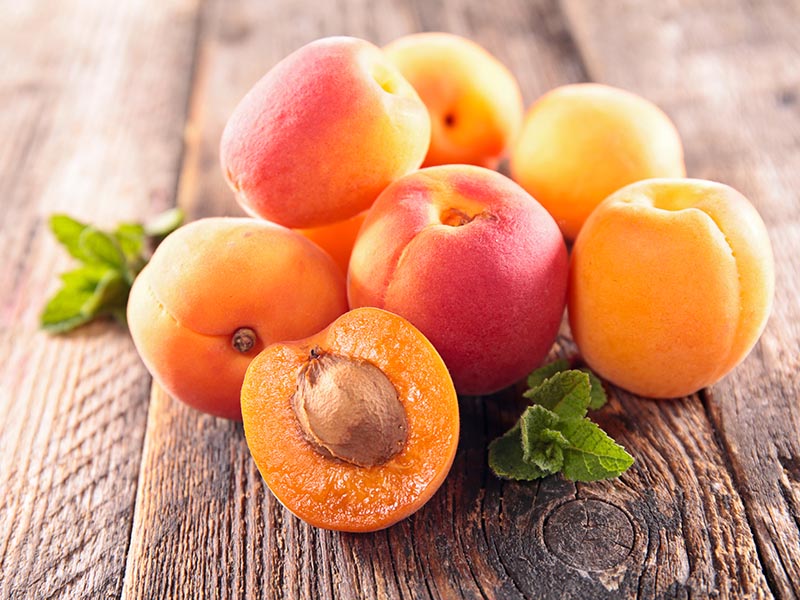 Apricot Fruit A