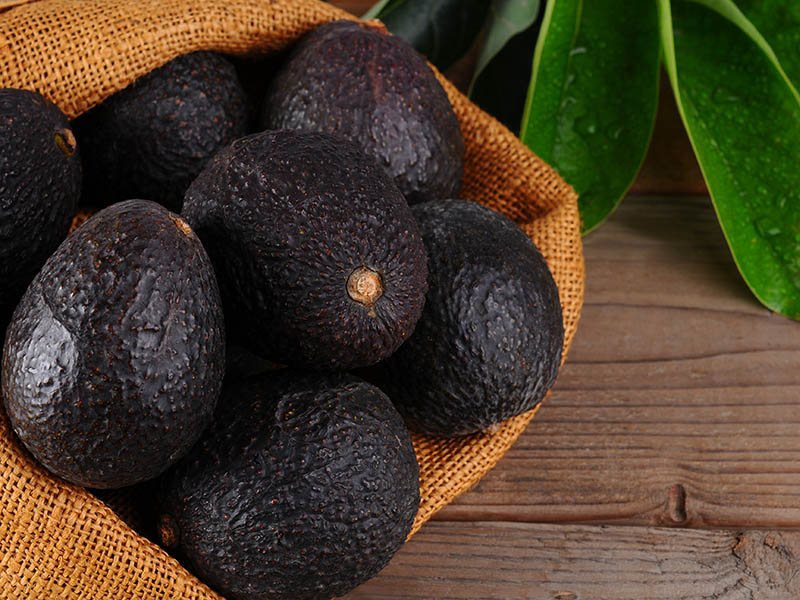 Black Avocados