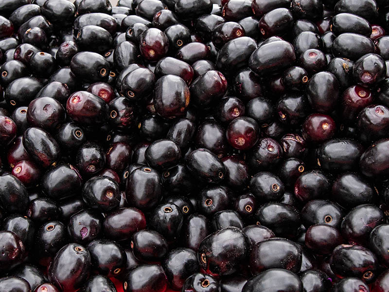Black Jamun Berries