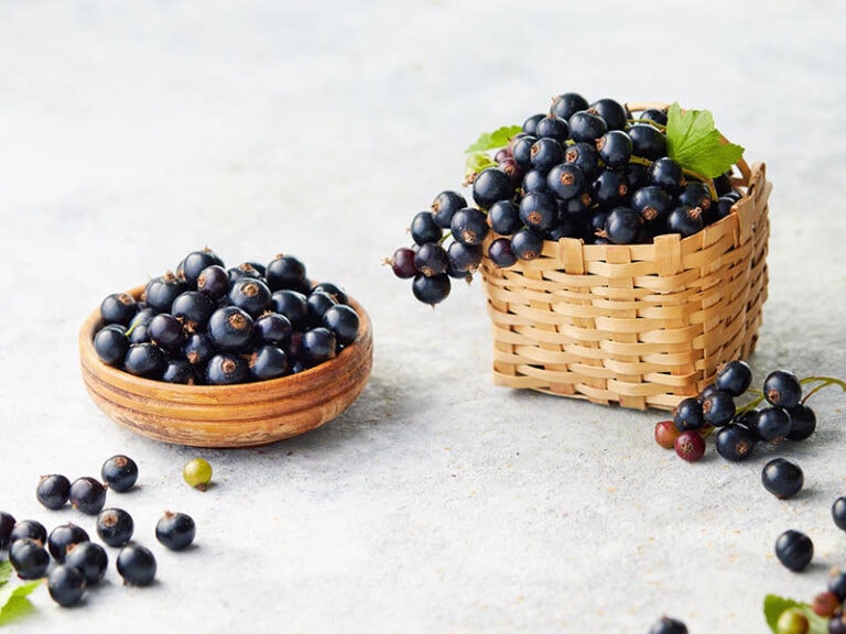MustTry Black Fruits in World Dishes for 2024