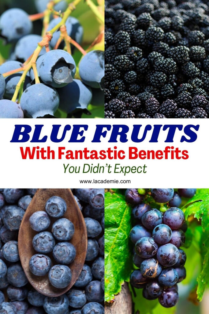 Blue Fruits