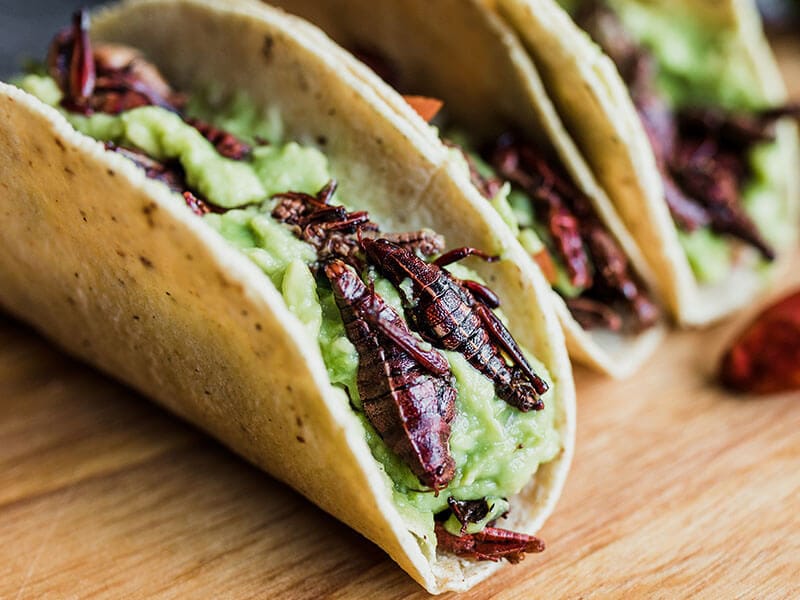 Chapulines Grasshopper