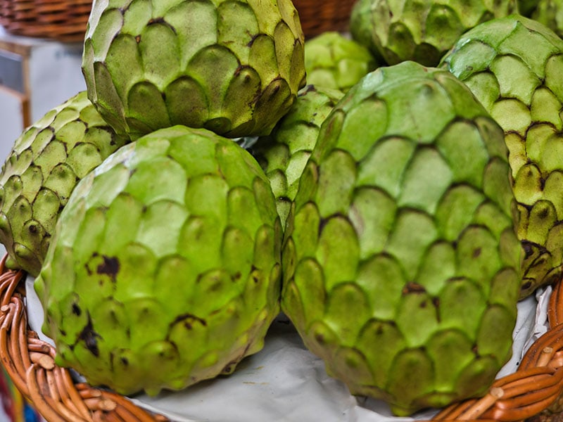 Cherimoya Fruit Quite